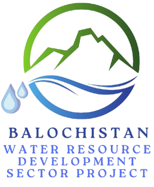 BWRDSP Logo