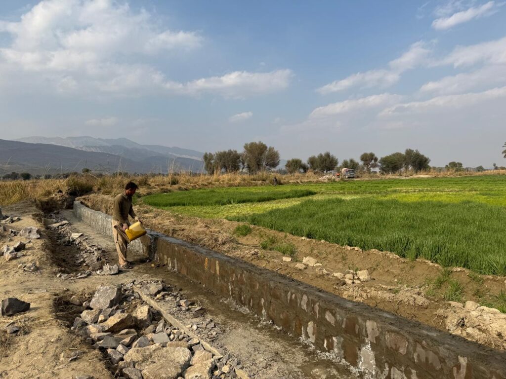 WhatsApp-Image-2025-09-11-at-16.37.20-1024x768