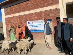 WhatsApp Image 2025-12-19 at 15.36.00