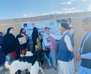 WhatsApp Image 2025-12-19 at 15.37.14